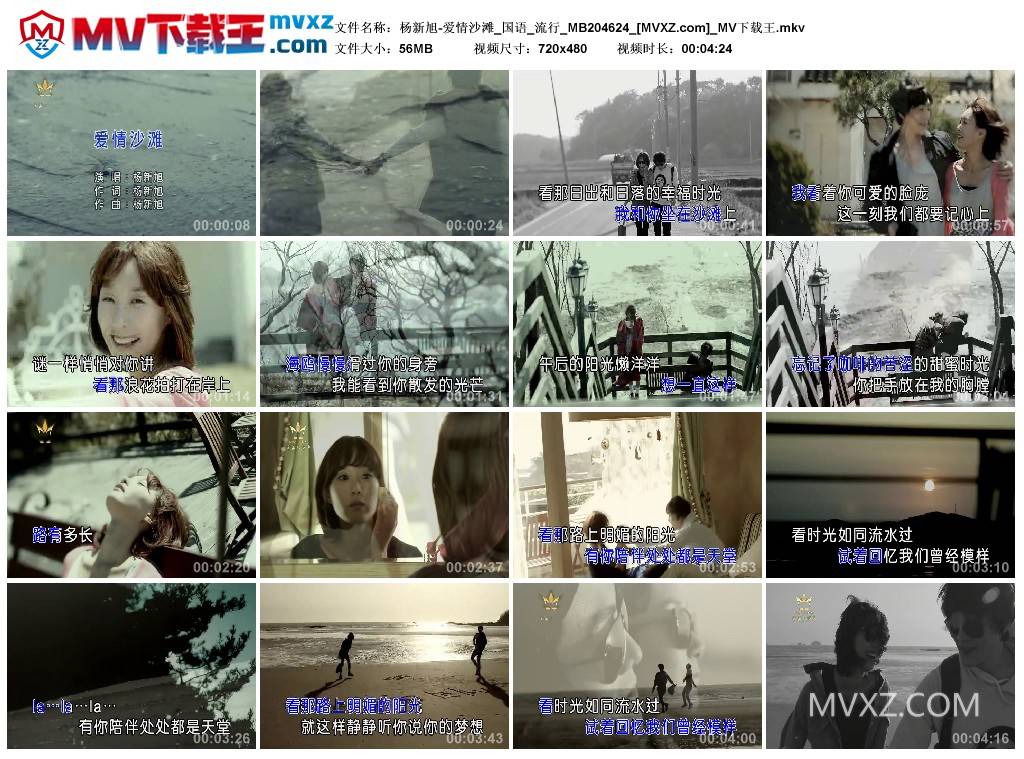 杨新旭-爱情沙滩_国语_流行_MB204624